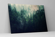 Obraz Ranná hmla nad lesom zs1209